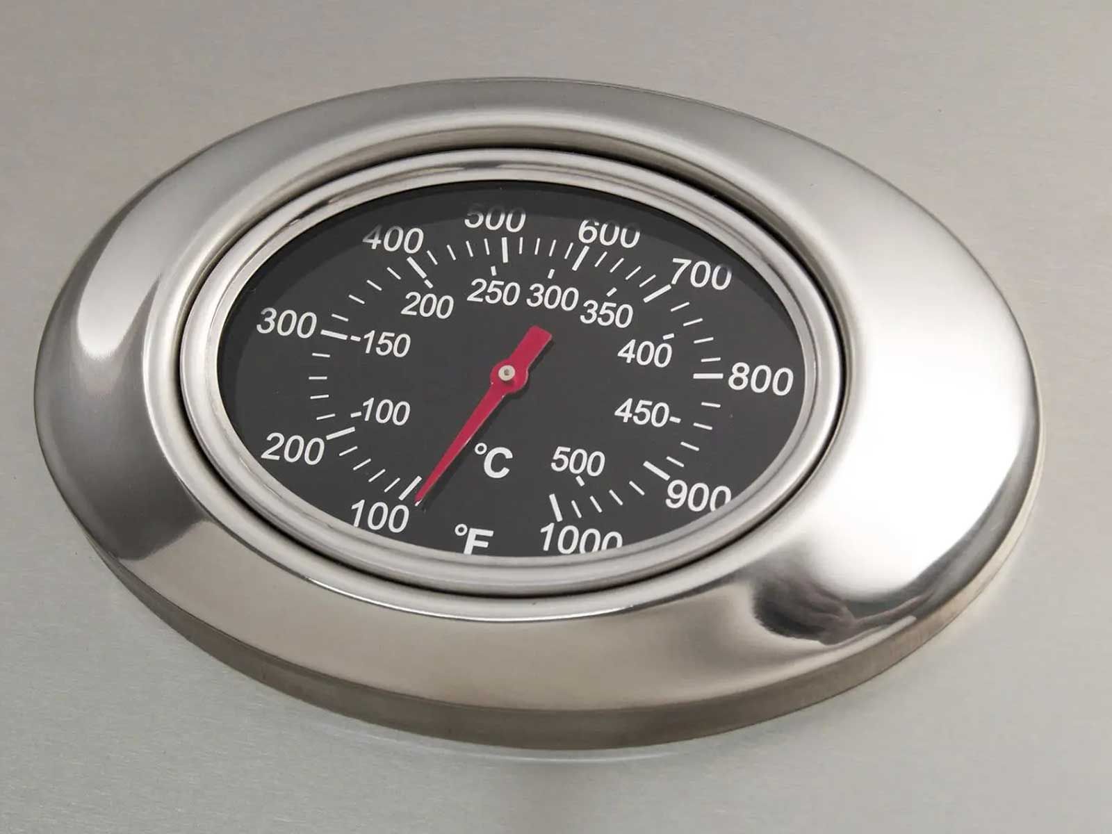 American Outdoor Grill L-Series 24-Inch 2-Burner Gas Grill On In-Ground Post