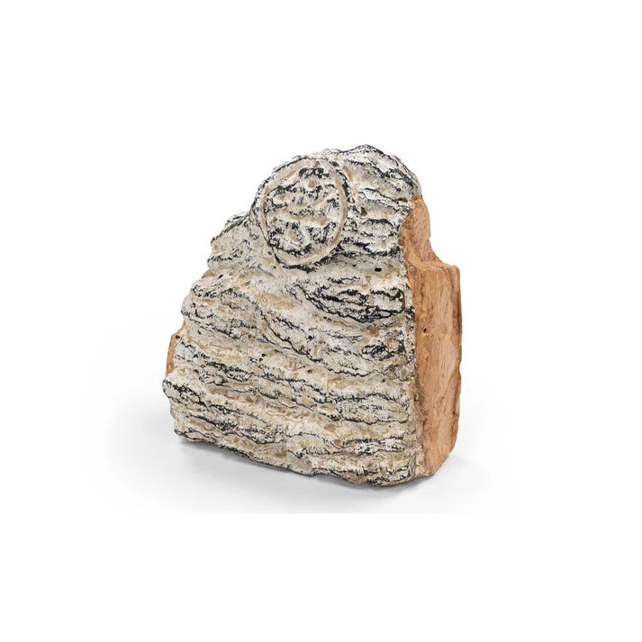 Real Fyre 2 lb. Charred Birch Decorative Wood Chunk