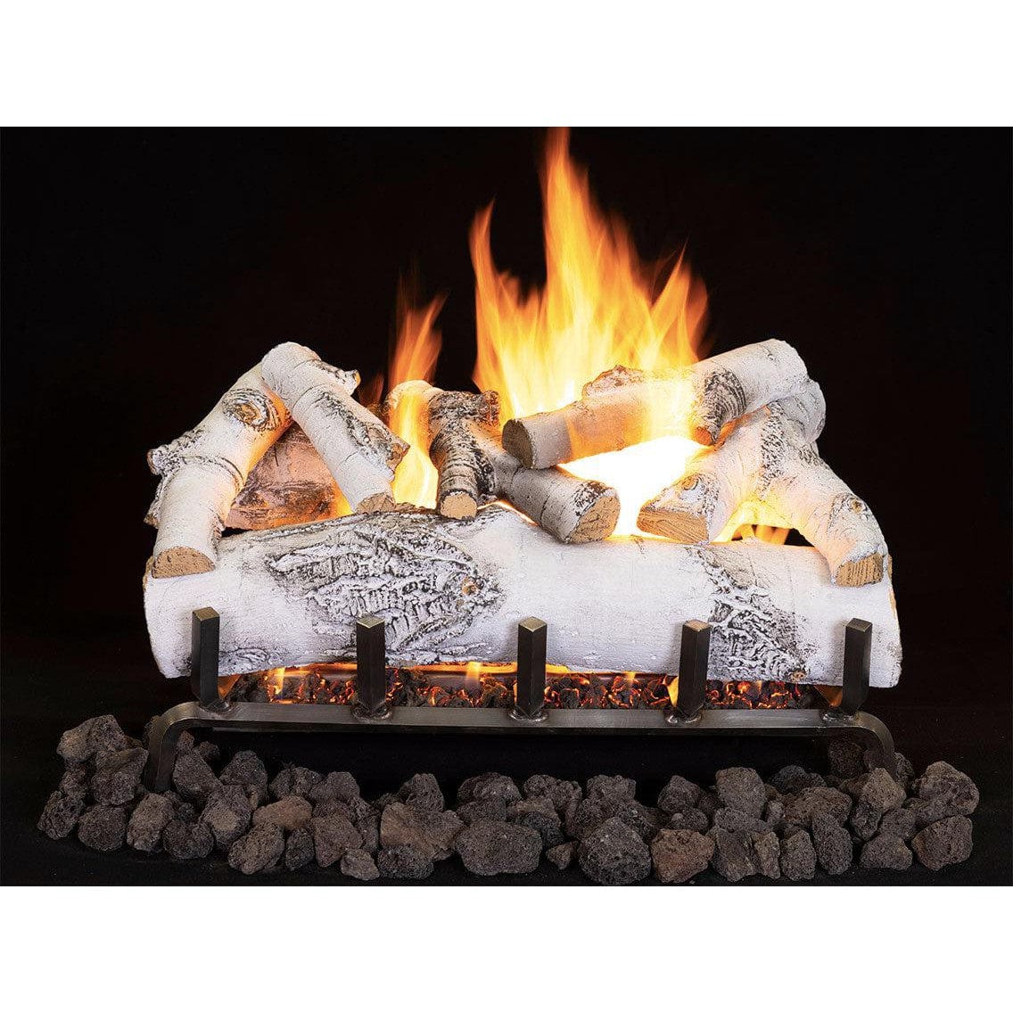 Astria - Dual Vented Gas Burner With Electronic Ignition